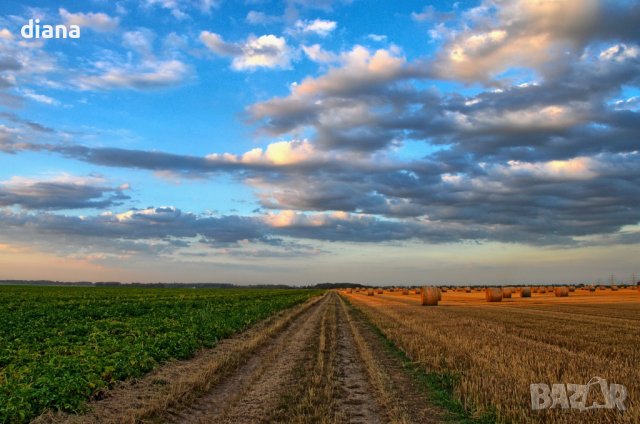 КУПУВАМ ЗЕМЕДЕЛСКА ЗЕМЯ 