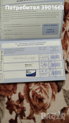 Продавам мъжко кученце на 6 месеца, снимка 13 - Курцхаар - 53474878