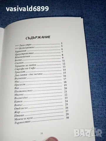 Щерю Толев - Вик , снимка 5 - Българска литература - 47380403