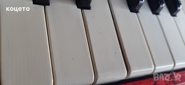 акордеон Hohner Arietta IM, снимка 10 - Акордеони - 53040238