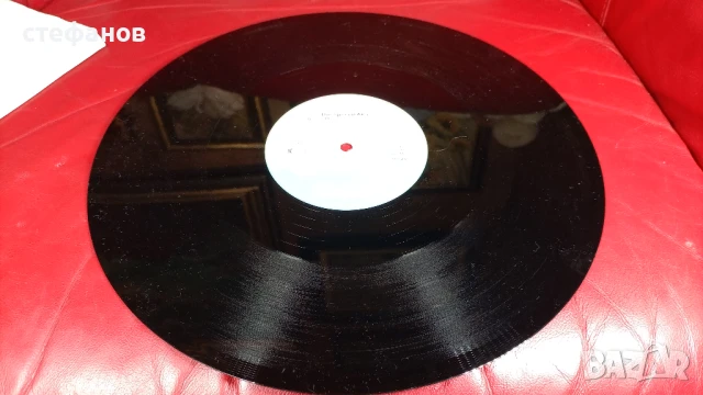 Голяма грамофонна плоча максисингъл maxi-single NELSON MANDELA, Германия, снимка 4 - Грамофонни плочи - 51036674