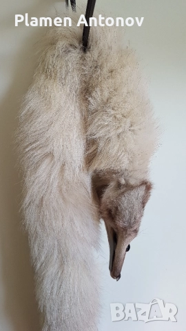 Яка от цяла сребърна лисица, снимка 3 - Палта, манта - 52140965