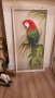 Голяма картина папагал, масло, дървена състарена рамка– 120см/ 60см