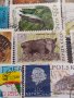 Лот Пощенски марки смесени серий ЖИВОТНИ от цял свят за КОЛЕКЦИЯ 22629, снимка 8