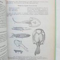 Книга Основи на палеонтологията и историчната геология - Т. Николов 1996 г., снимка 3 - Учебници, учебни тетрадки - 43609448