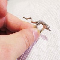 Мъжки Сребърен пръстен със увита змия моторджийски, мото аксесоари, мото екипировка, снимка 2 - Пръстени - 32362991