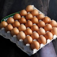 Домашни яйца от свободно отглеждани кокошки, снимка 2 - Домашни продукти - 38657620