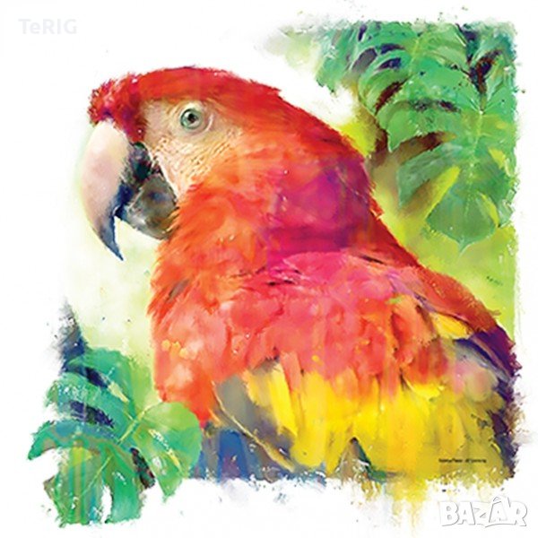 папагал - соларна тениска, снимка 1