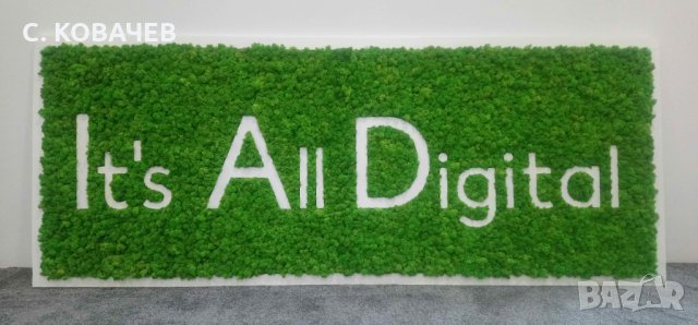 Изработване пана/картини от цветове скандинавски мъх по Ваши размери., снимка 9 - Картини - 26820245