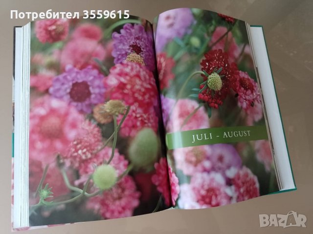 Холандска книга за вашата градина , снимка 2 - Енциклопедии, справочници - 38837563