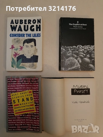 Miami Purity – Vicki Hendricks (1995, Hardcover), снимка 3 - Чуждоезиково обучение, речници - 53482075