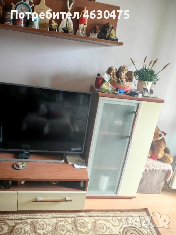 Секция, снимка 1