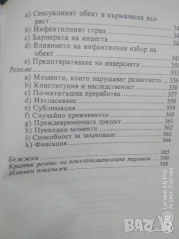 Детската душа Зигмунд Фройд , снимка 5 - Специализирана литература - 51155278