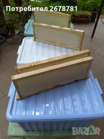  Билков мед на пита