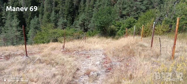 Продавам парцел в Родопите  с.Габрица.🌲, снимка 3 - Парцели - 50738610