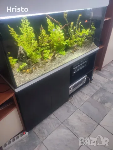 Аквариум 280л.шкаф и канистър, снимка 2 - Аквариуми - 48754907