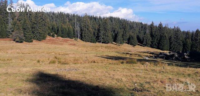 Продавам парцел на Пампорово - Райковски ливади.🌲, снимка 3 - Земеделска земя - 38695540