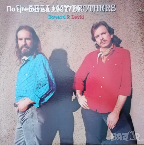 Грамофонни плочи за всеки вкус, снимка 5 - Грамофонни плочи - 52178735