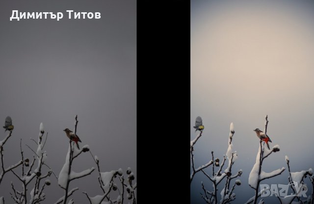 Професионално обработване на снимки!, снимка 3 - Други услуги - 43221580