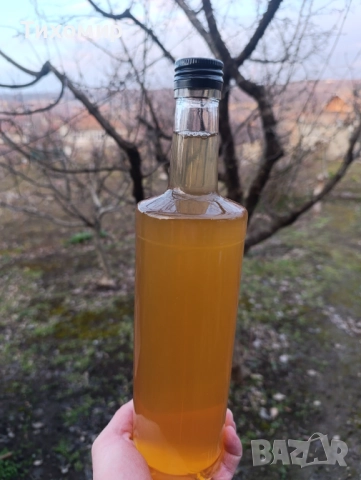 Ябълков оцет, Домашен, Био