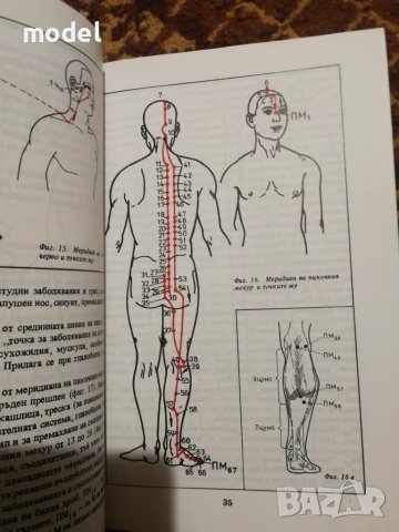 Как да си помогнем с акупресура - Иванка Кирова , снимка 3 - Специализирана литература - 47428291