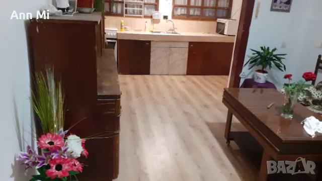  Имот!Продавам 2 къщи с 2 дка двор, снимка 11 - Вили - 50347738