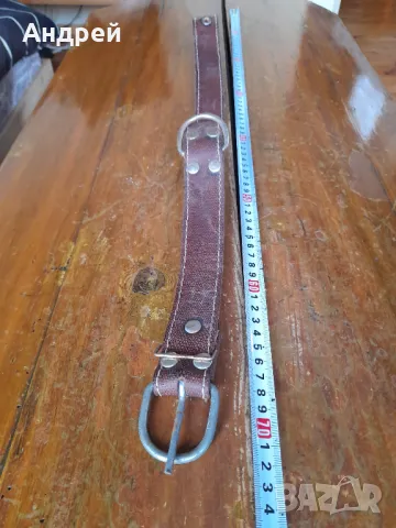 Стара кожена каишка за домашни животни #2, снимка 3 - Други ценни предмети - 49576184