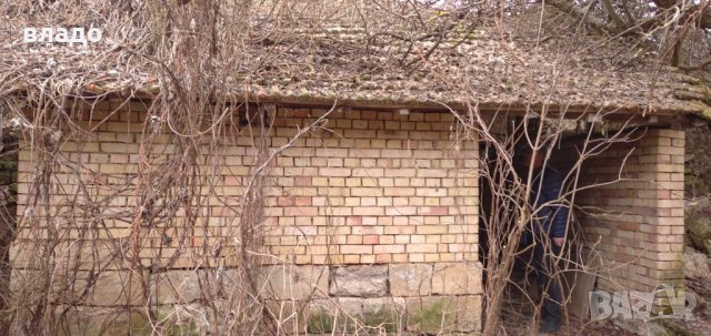 Осиково дворно място с къща, снимка 8 - Къщи - 35534250