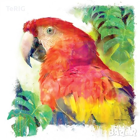 папагал - соларна тениска