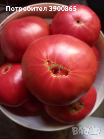 Семе розови домати 