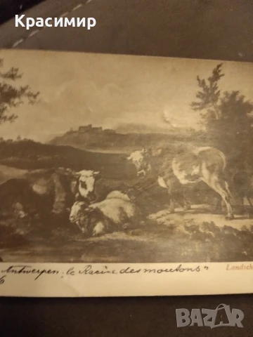 Ретро Пощенска Картичка., снимка 3 - Филателия - 51279045