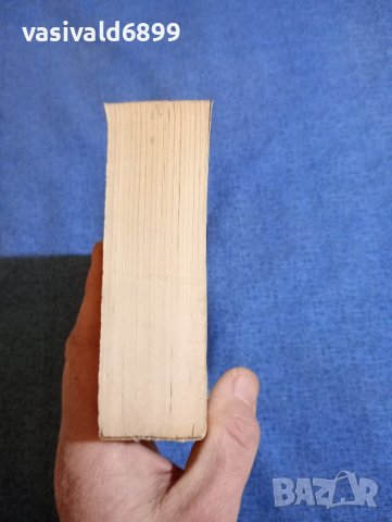 Дейвид Вайс - Възвишено и земно , снимка 4 - Художествена литература - 43981648