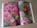 Холандска книга за вашата градина , снимка 2