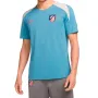 Мъжка тениска Nike Atlético Madrid Strike FN9809-454, снимка 1