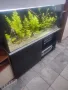 Аквариум 280л.шкаф и канистър, снимка 2