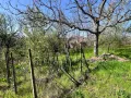 Парцел 557 кв.м. в Казанлък Вилна Зона ”Старите лозя” зад Художествената Гимназия, снимка 5