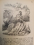 Донъ Кихотъ Ламаншски - Мигелъ де Сервантесъ (1939, Луксозна изработка, Богато илюстровано издание), снимка 16