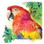 папагал - соларна тениска, снимка 1 - Тениски - 37388226