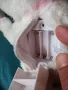Интерактивно плюшено кученце Fisher price на немски, снимка 7