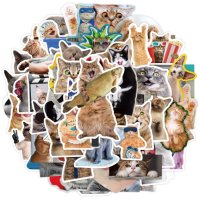 Водоустойчиви стикери 50х бр-Котки,Cats,Kitty(лаптопи,коли,тротинетки,мотори,каски,Xbox,PS4-5 и др), снимка 3 - Аксесоари и консумативи - 36060457