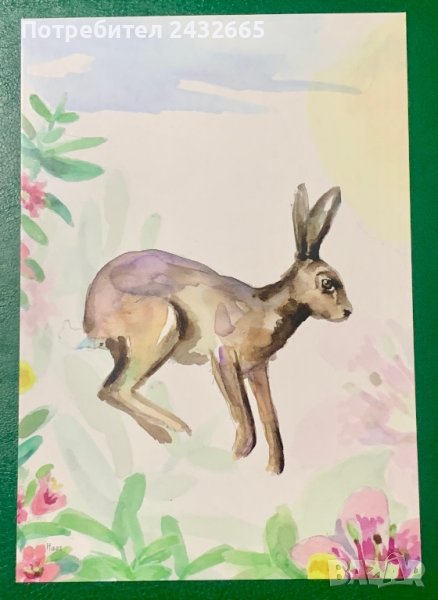 1884к. Нидерландия 2023 = “ Фауна. Природен Резерват “ Skrok and Skrins “ , снимка 1