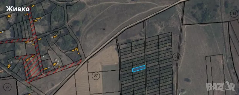 Продава, лозе в землището на село Щипско, снимка 1