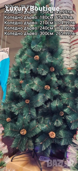 елха с шишарки, снимка 1