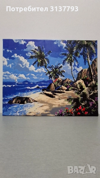 Ръчно рисувани картини по номера. Размер 40/50, снимка 1