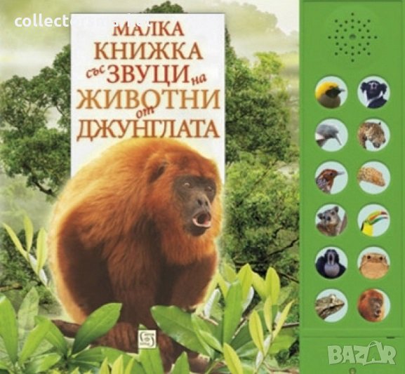 Малка книжка със звуци на животни от джунглата, снимка 1