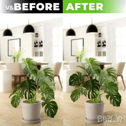 Опаковка от 6 подпори за растения, полукръгли клетки с пръстени за подпори на растения, метален държ, снимка 4 - Огради и мрежи - 49847849