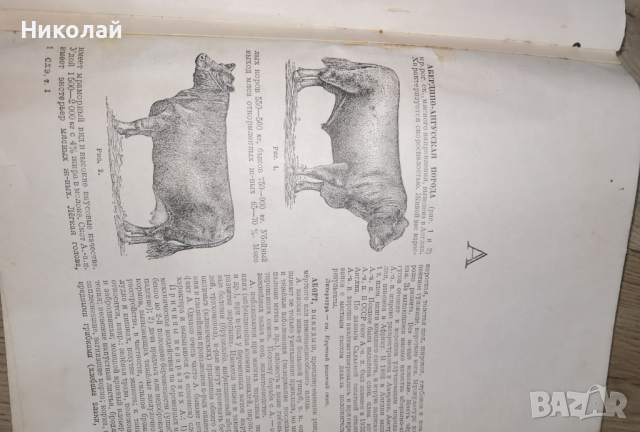 Съветска селскостопанска енциклопедия Том I, снимка 7 - Художествена литература - 44900268