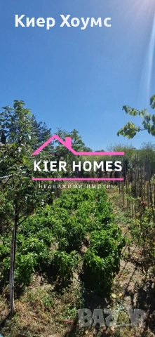 Къща в село Книжовник,обл.Хасково, снимка 11 - Къщи - 52130657