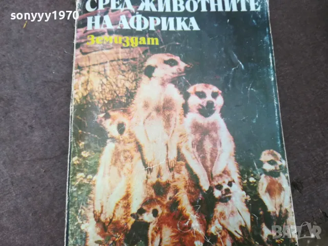 СРЕД ЖИВОТНИТЕ НА АФРИКА 1102250612, снимка 3 - Други - 49071141