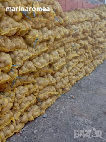 Чували за картофи(гаци за картофи), снимка 10 - Градински цветя и растения - 10820902